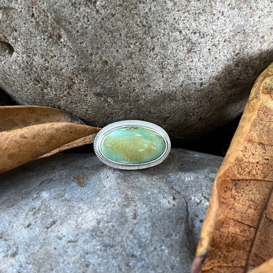 Sonoran Turquoise and sterling silver ring